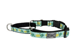 RC Pet Products Easy Clip Web Training Dog Collar, Pineapple Parade, Small