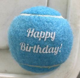 Mud Bay Happy Birthday Tennis Ball Dog Toy