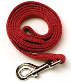 OmniPet One-Ply Nylon Dog Lead, Red