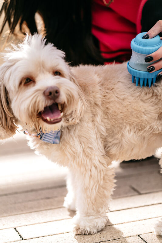 Dexas Popware for Pets ScrubBuster Dog Washing Brush, Blue