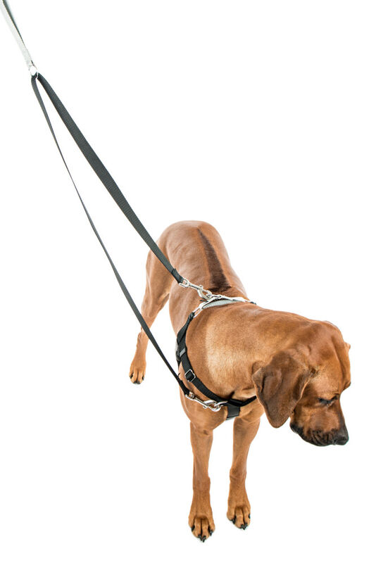 2 Hounds Design Freedom No-Pull Dog Harness, Black
