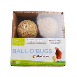 Pacific Bird & Supply Ball O' Bugs Mealworm Chicken Treat, 4-pack