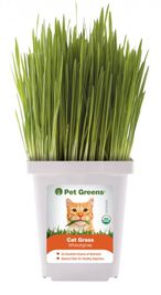 Pet Greens Original Wheatgrass