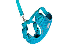 RC Pets Adventure Kitty Harness, Teal