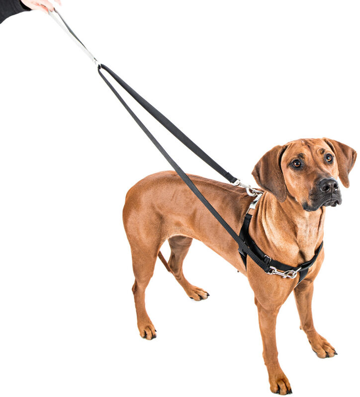 2 Hounds Design Freedom Training Dog Leash, Black