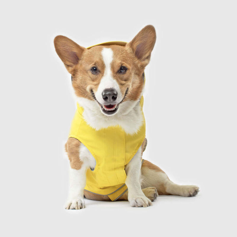Canada Pooch Torrential Tracker Dog Raincoat, Yellow