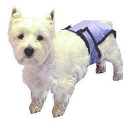 PoochPad PoochPants Reusable Dog Diaper, X-Large