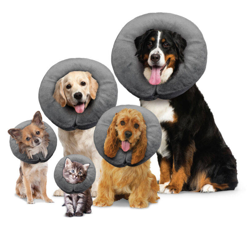 Arlee Pet Products Comfurt Collar Recovery Pet Collar