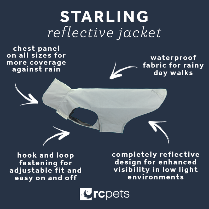 RC Pets Starling Reflective Dog Rain Jacket, Silver